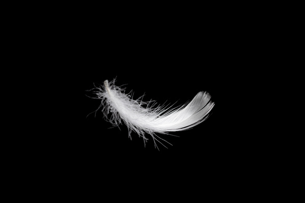 Salon Showcase: 'Gone' by Julie Goode