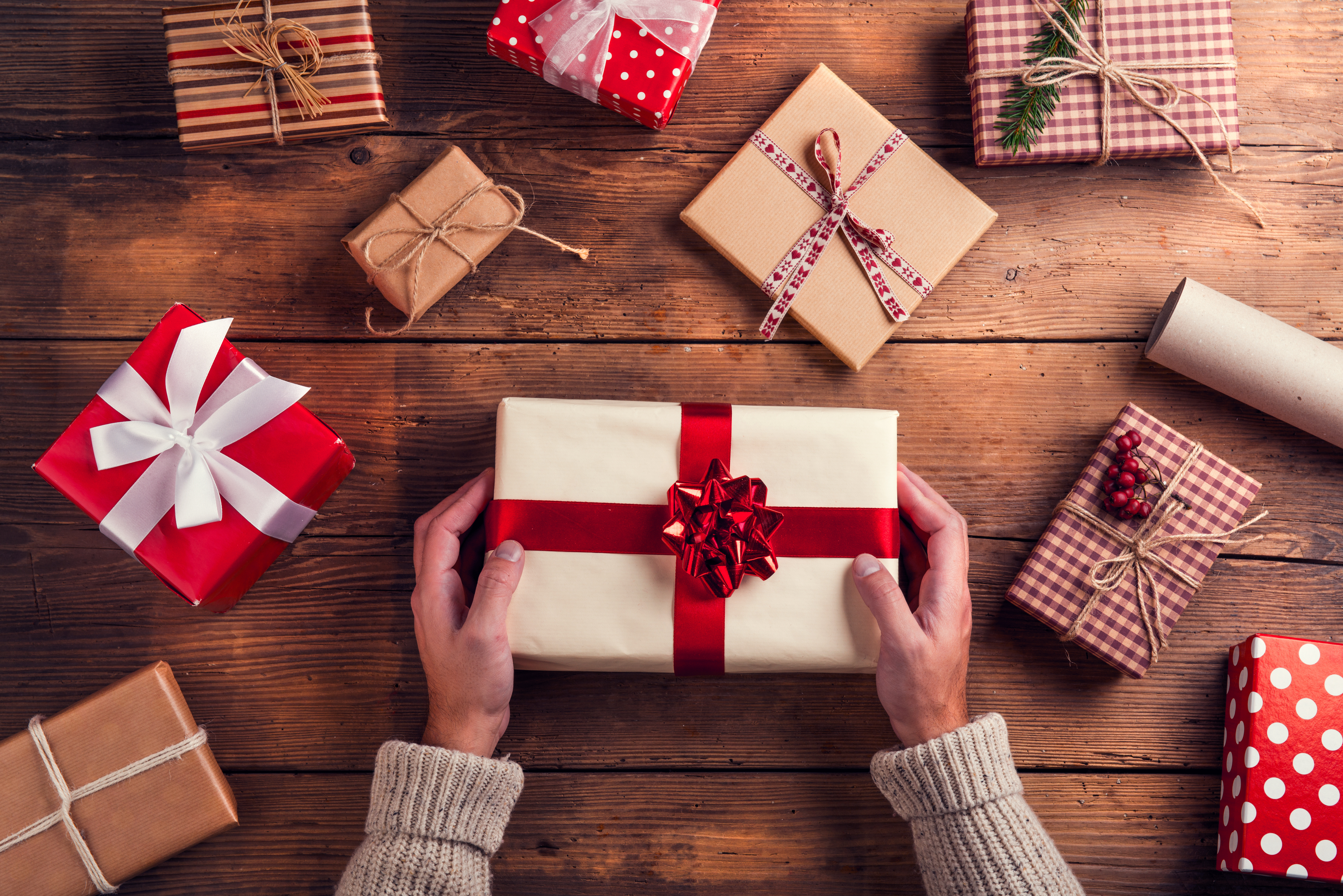 The Mslexia Christmas Gift Guide 2024