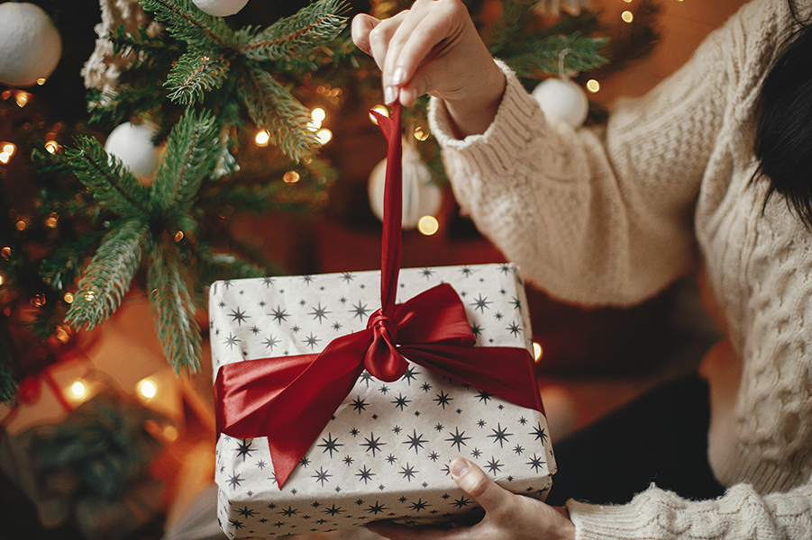 The Mslexia Christmas Gift Guide 2023
