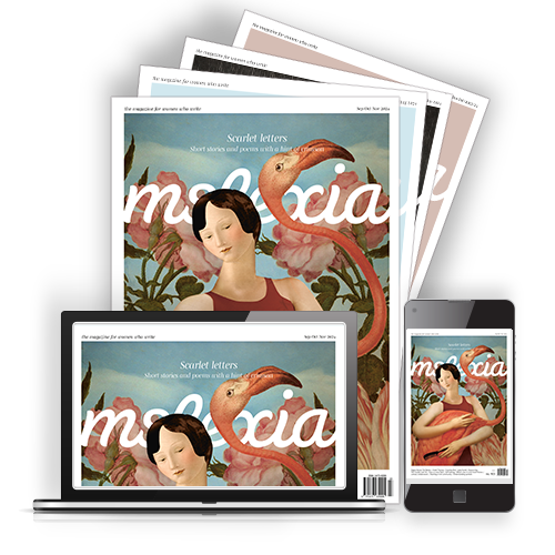 Print Subscription to Mslexia Magazine