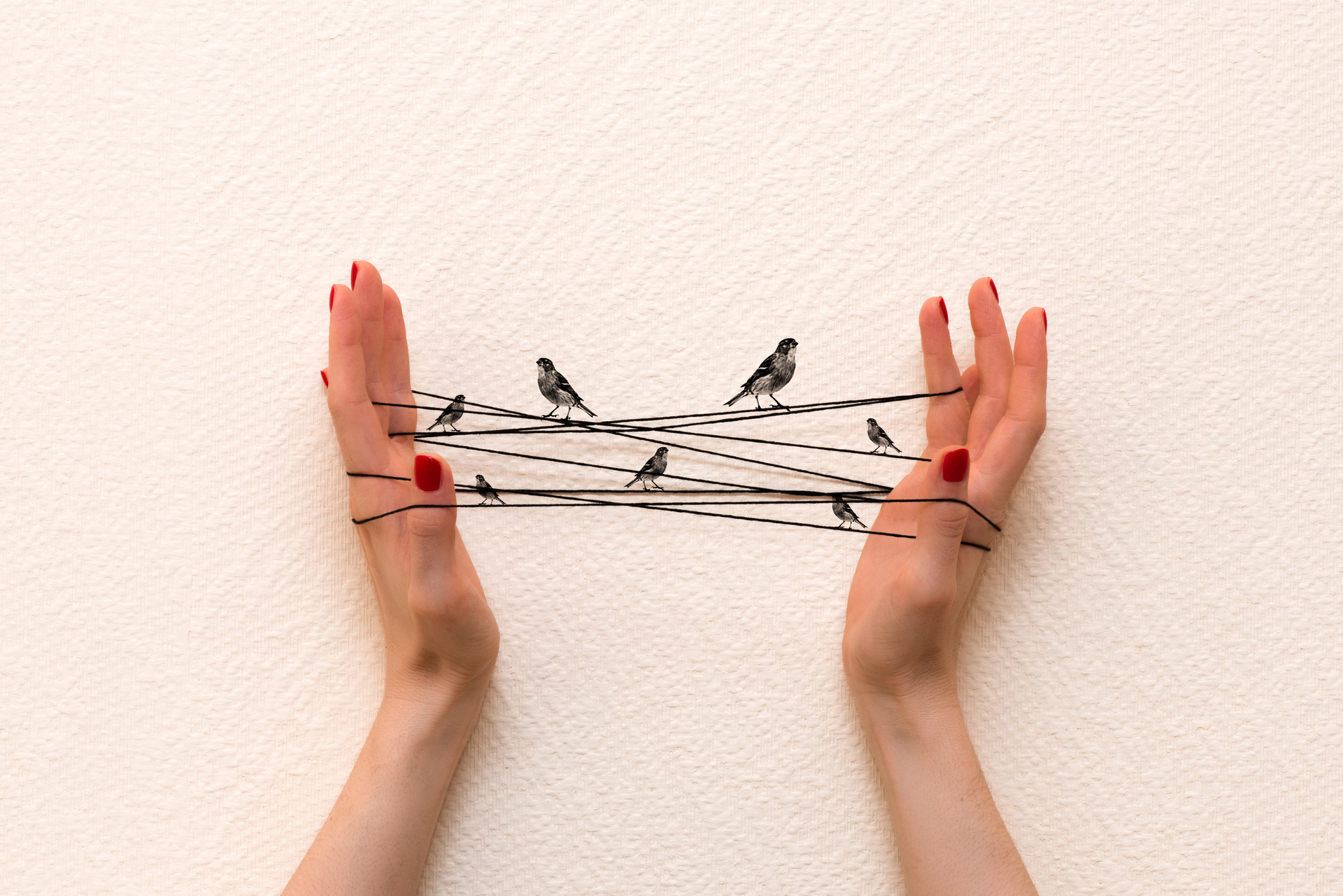 AdobeStock_255379937