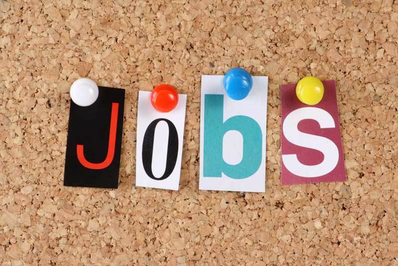 jobs-image