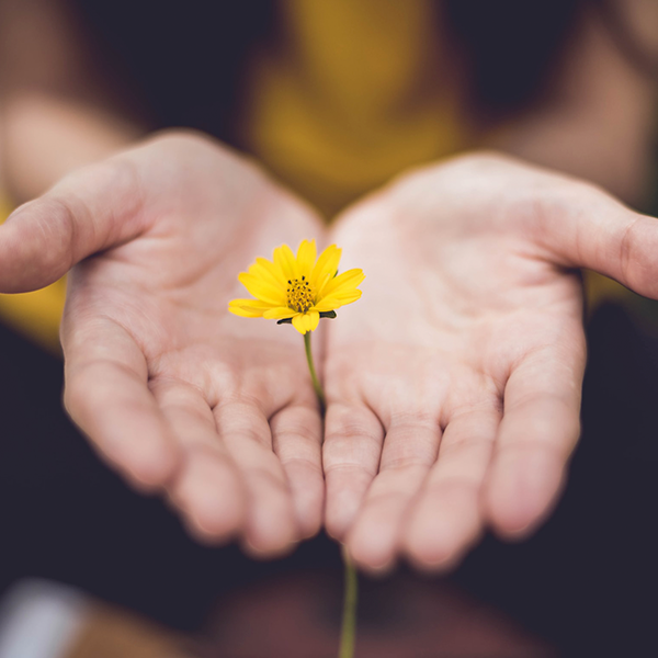 Donate to Mslexia - £5